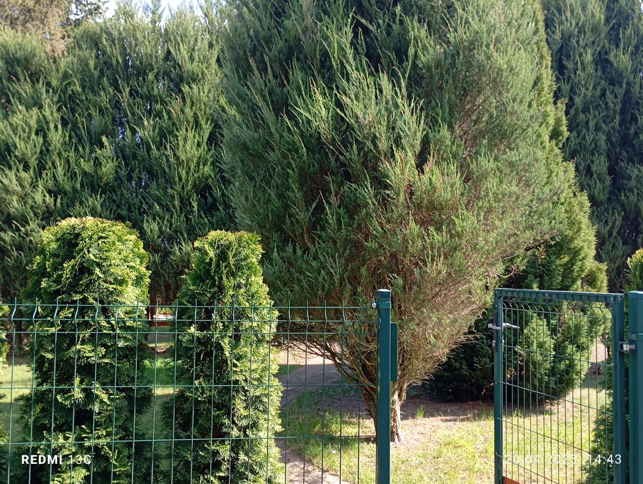 Działka rod Opalenica, ul. Półwiejska. Zdjęcie 6