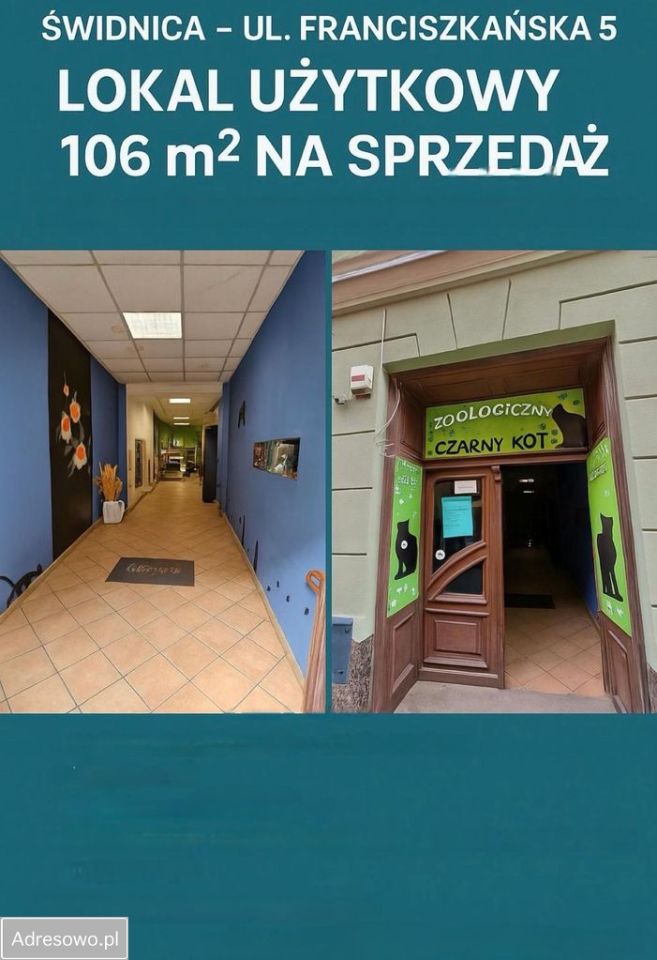 Lokal Świdnica, ul. Franciszkańska. Zdjęcie 3
