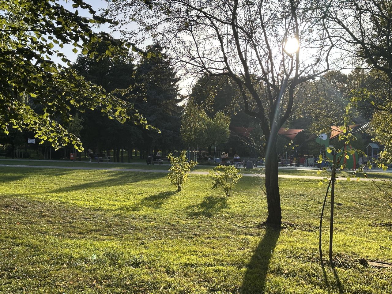 Mieszkanie 5-pokojowe Rzeszów Śródmieście, ul. Witkacego. Zdjęcie 15