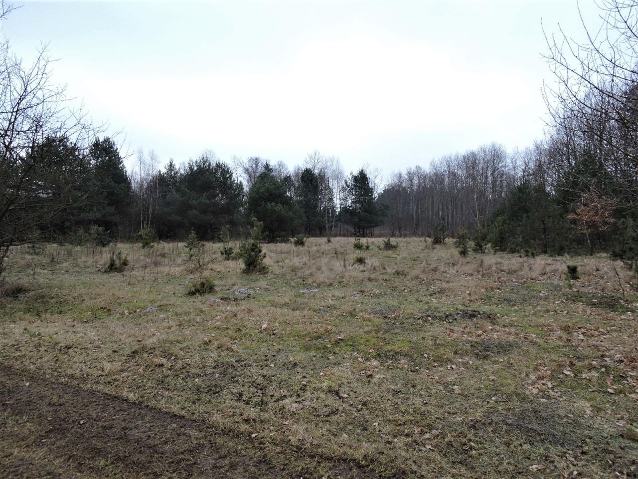 Działka rolna Budziska, ul. Ptasia. Zdjęcie 15