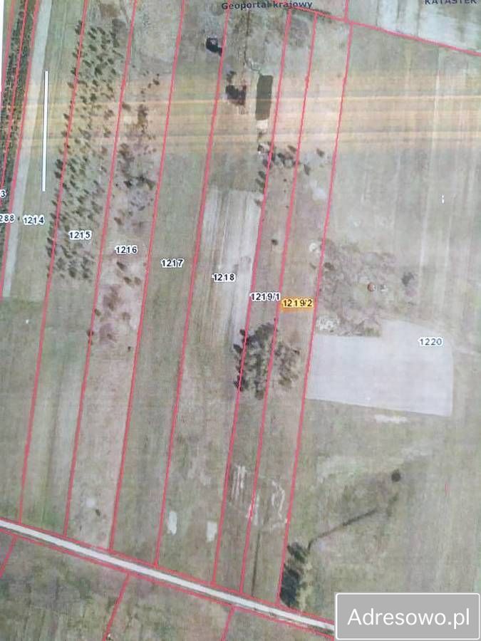 Działka rolno-budowlana Kołaczkowice. Zdjęcie 2