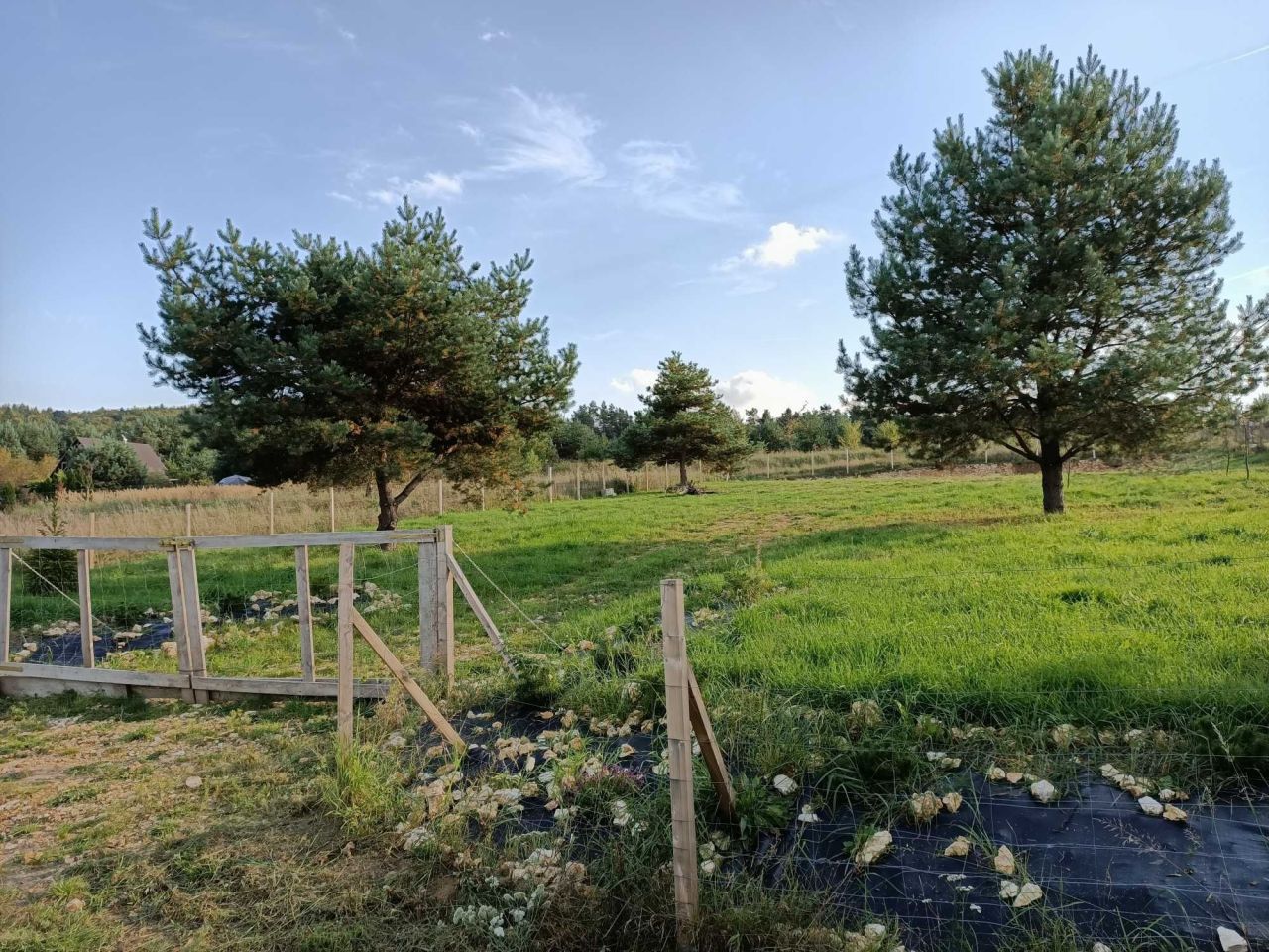 Działka budowlana Ryczówek, ul. Kluczewska