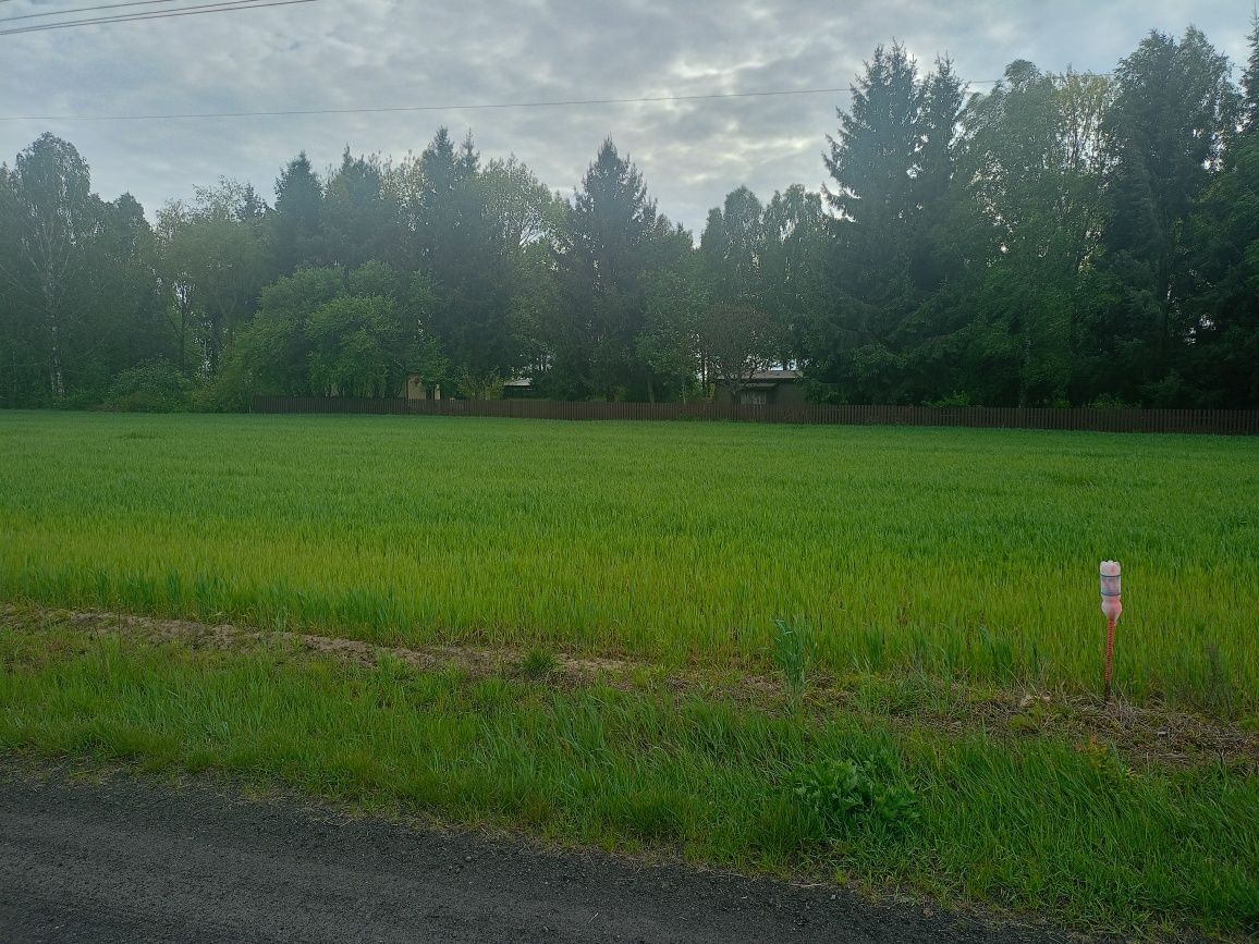Działka budowlana Czuryły. Zdjęcie 2