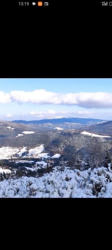 Działka rolna Lubomierz. Zdjęcie 6
