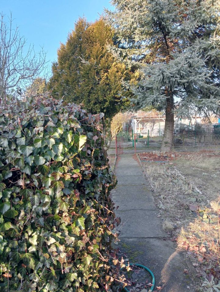 Działka rod Lubin. Zdjęcie 7