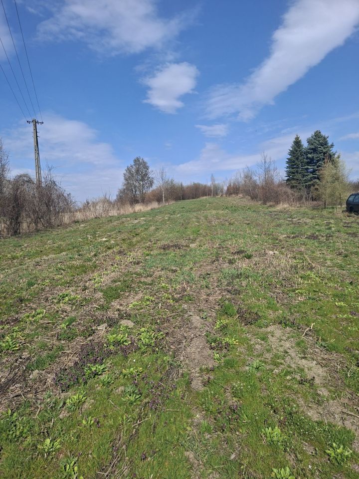 Działka rolna Wojsławice. Zdjęcie 4