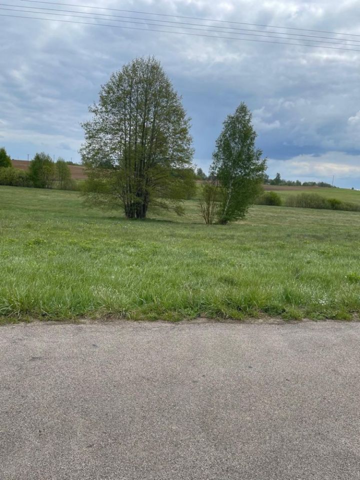 Działka rolno-budowlana Bargłów Dworny. Zdjęcie 5