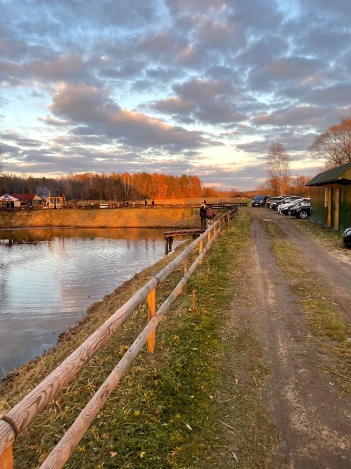 Działka rekreacyjna Iwaniska. Zdjęcie 3