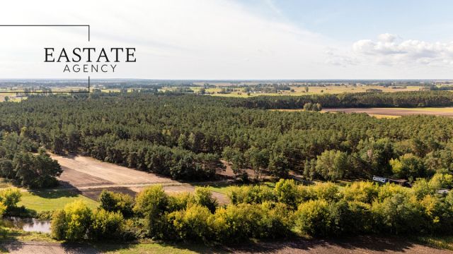 Działka leśna Maurzyce. Zdjęcie 2