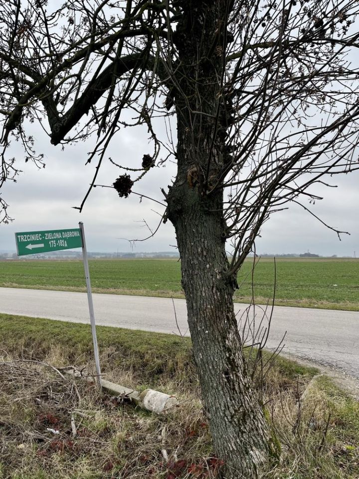 Działka budowlana Trzciniec. Zdjęcie 3