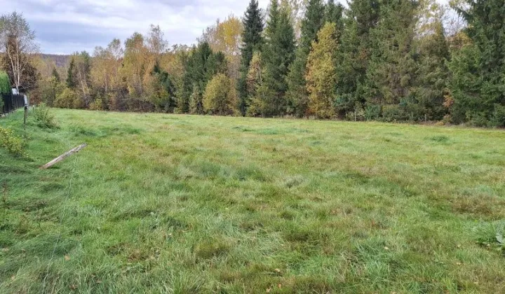 Działka budowlana Weremień