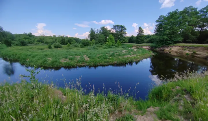 Działka inna Płaciszewo