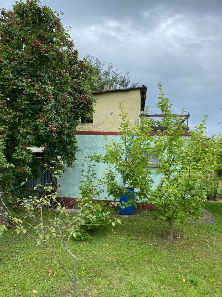 Działka rod Lubin. Zdjęcie 2