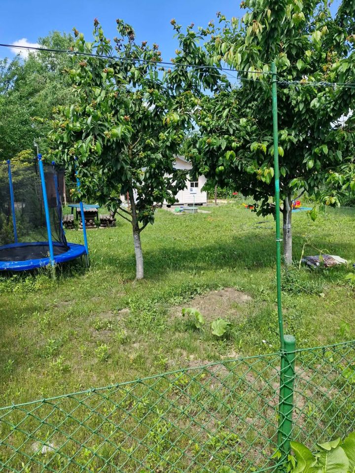 Działka rod Toruń. Zdjęcie 3