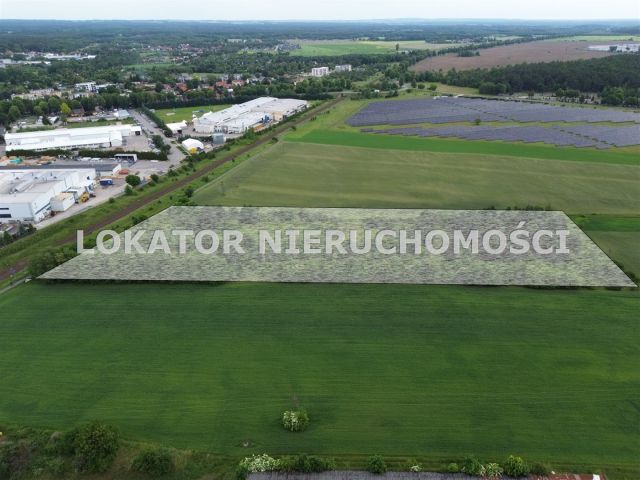 Działka inwestycyjna Trzcianka. Zdjęcie 3