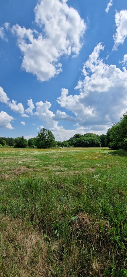 Działka siedliskowa Bukowinka. Zdjęcie 6