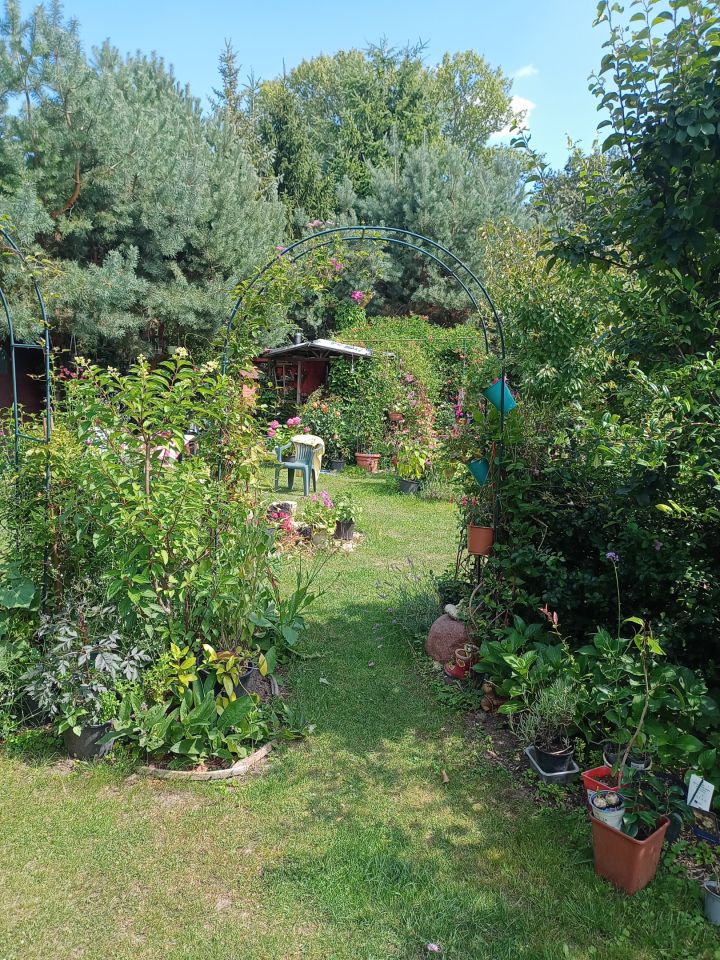 Działka rekreacyjna Wrocław Bierdzany, ul. Nizinna. Zdjęcie 23