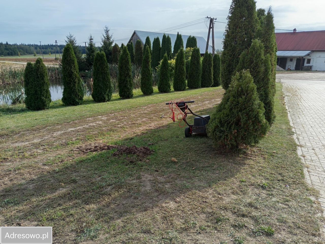 Działka rolna Milewo. Zdjęcie 7