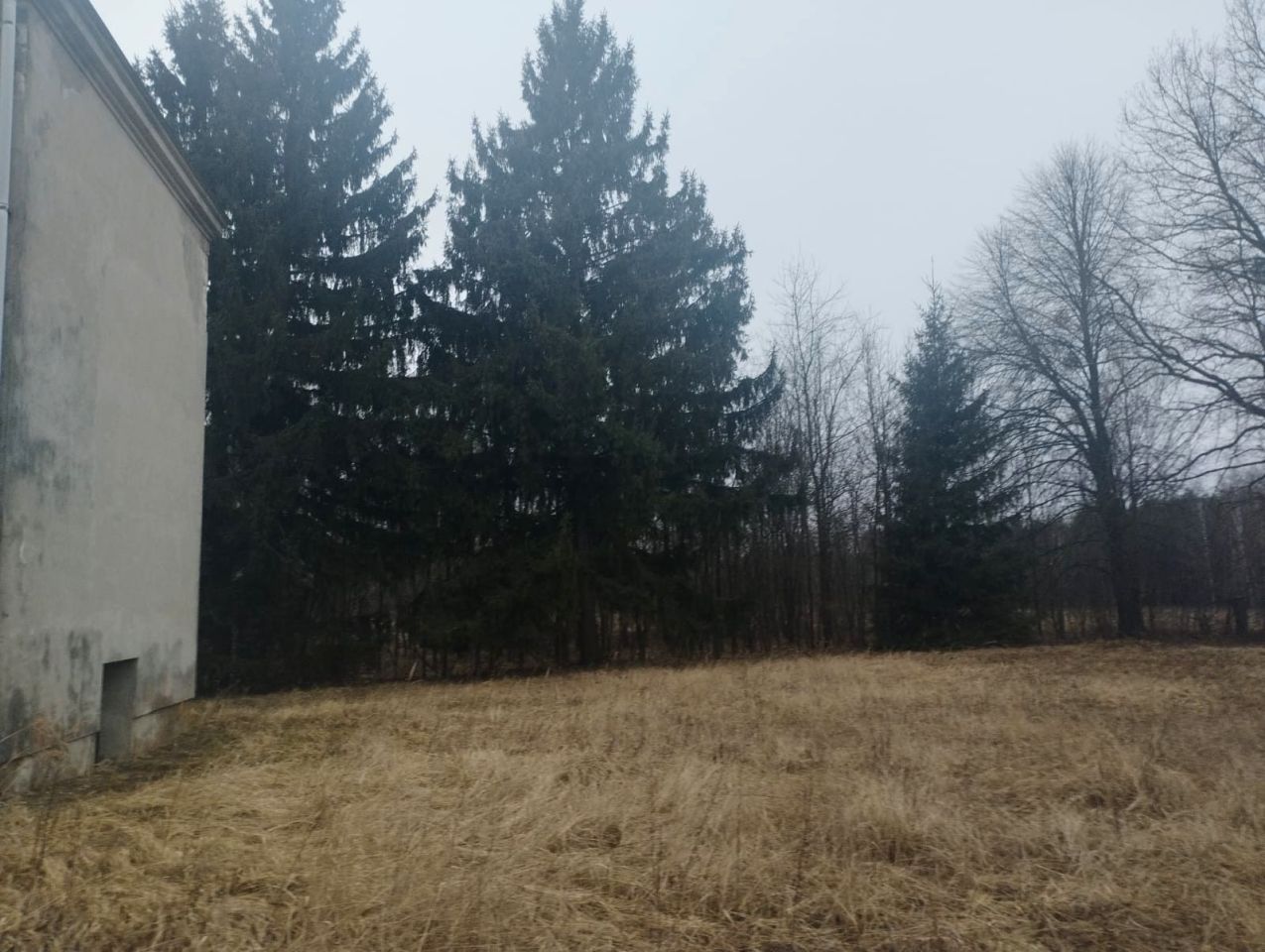 Działka rolno-budowlana Wólka Okopska. Zdjęcie 2