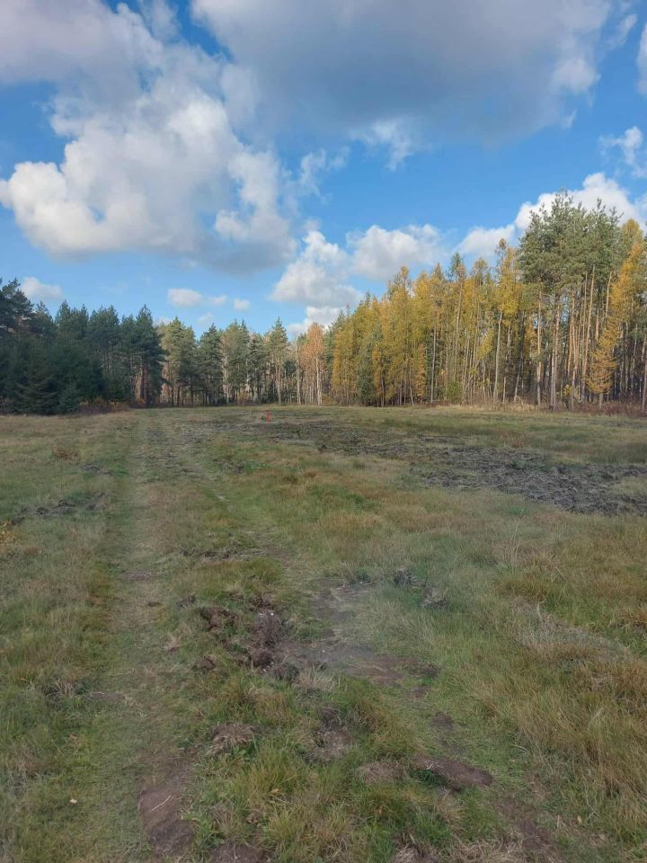 Działka inna Chotowa. Zdjęcie 2