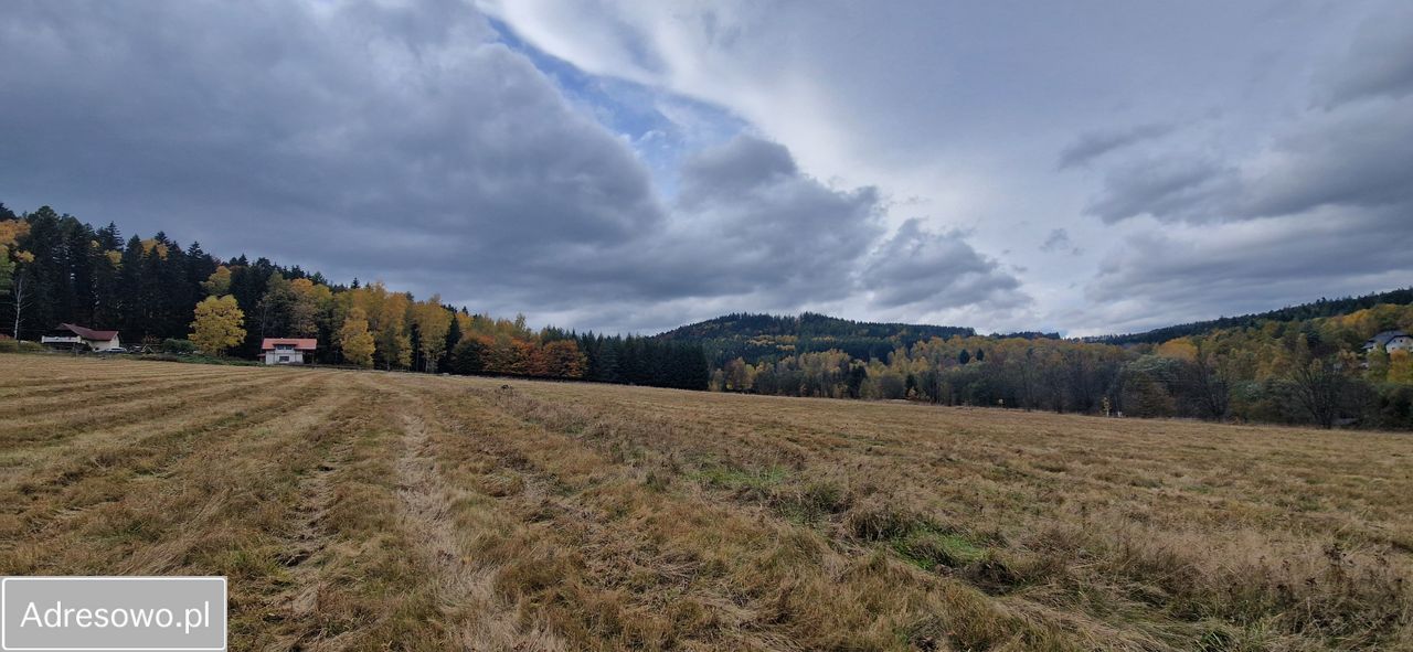 Działka budowlana Chocieszów. Zdjęcie 5