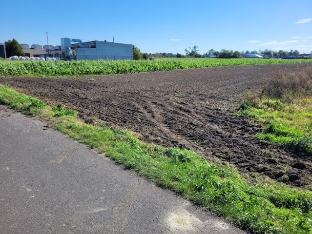 Działka rolno-budowlana Opole Nowa Wieś Królewska, ul. Jerzego i Ryszarda Kowalczyków. Zdjęcie 7