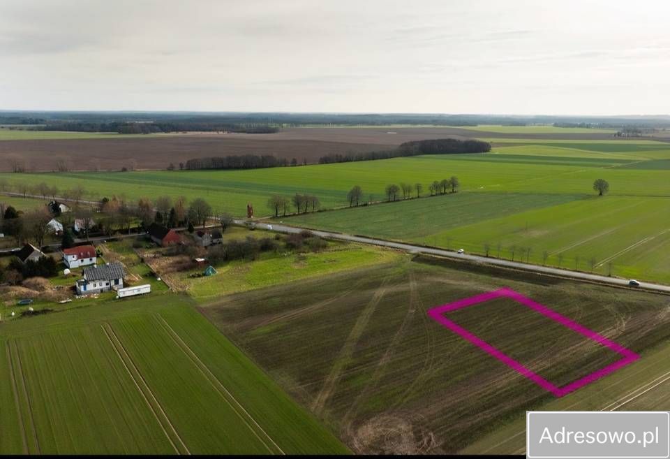 Działka rolna Paprotno. Zdjęcie 8