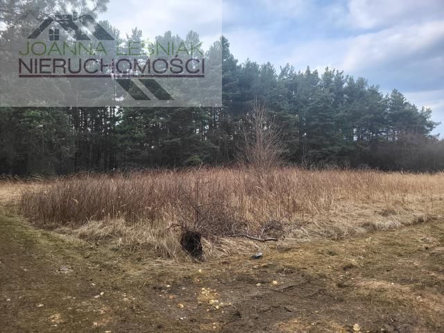 Działka budowlana Chechło. Zdjęcie 4