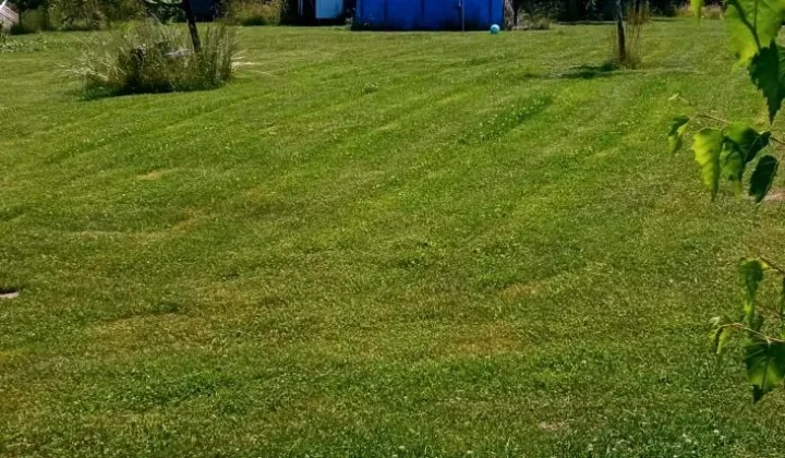 Działka budowlana Czechówka, ul. Kolonia