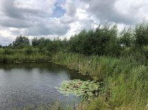 Działka siedliskowa Nowa Dębszczyzna Jemielistka Linia. Zdjęcie 1