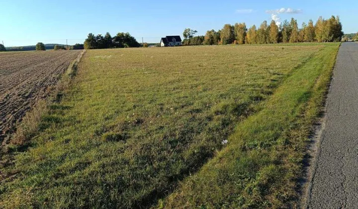 Działka budowlana Borowa Janów