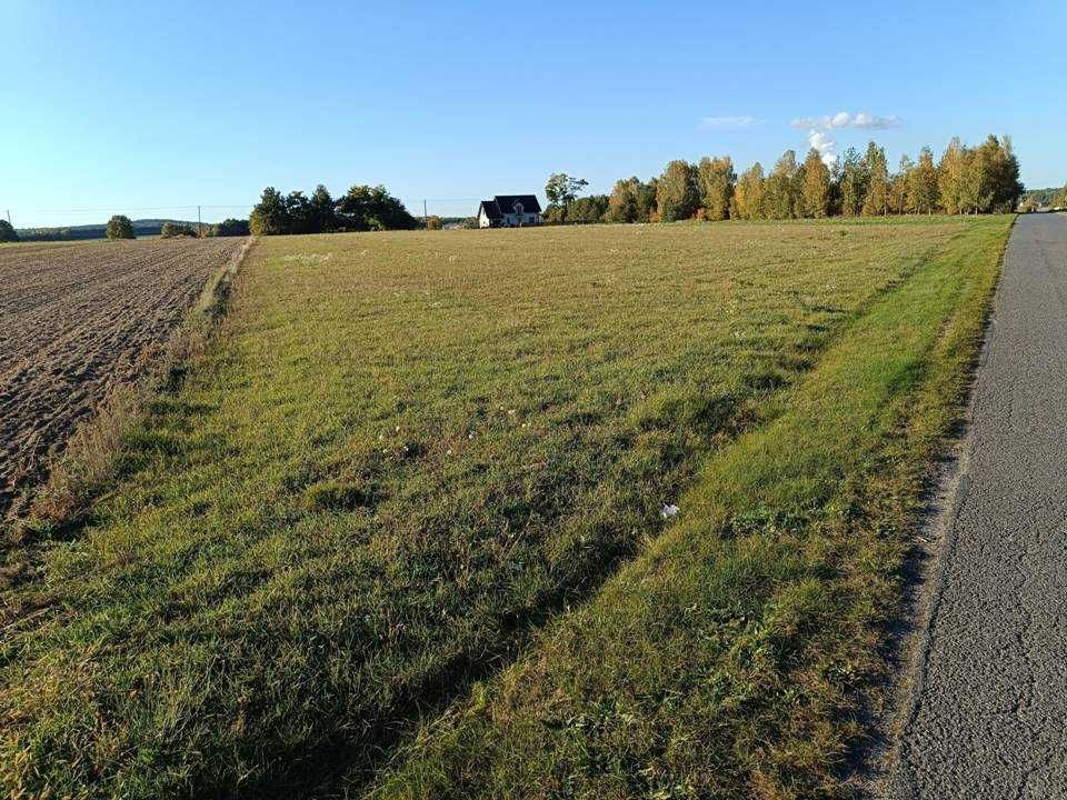 Działka budowlana Borowa Janów. Zdjęcie 1