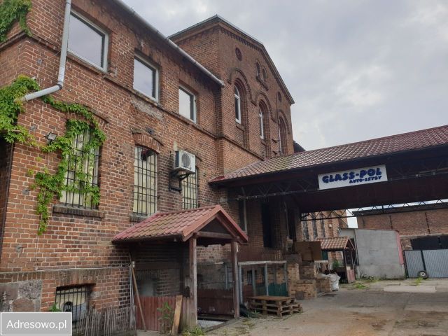 Nieruchomość komercyjna Lgiń. Zdjęcie 1