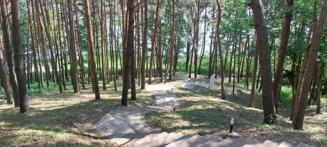 Mieszkanie 1-pokojowe Serock, ul. Wyzwolenia. Zdjęcie 11