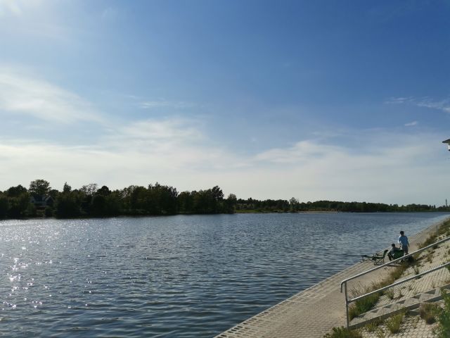 Działka rod Żyrardów, ul. Adama Mickiewicza. Zdjęcie 1