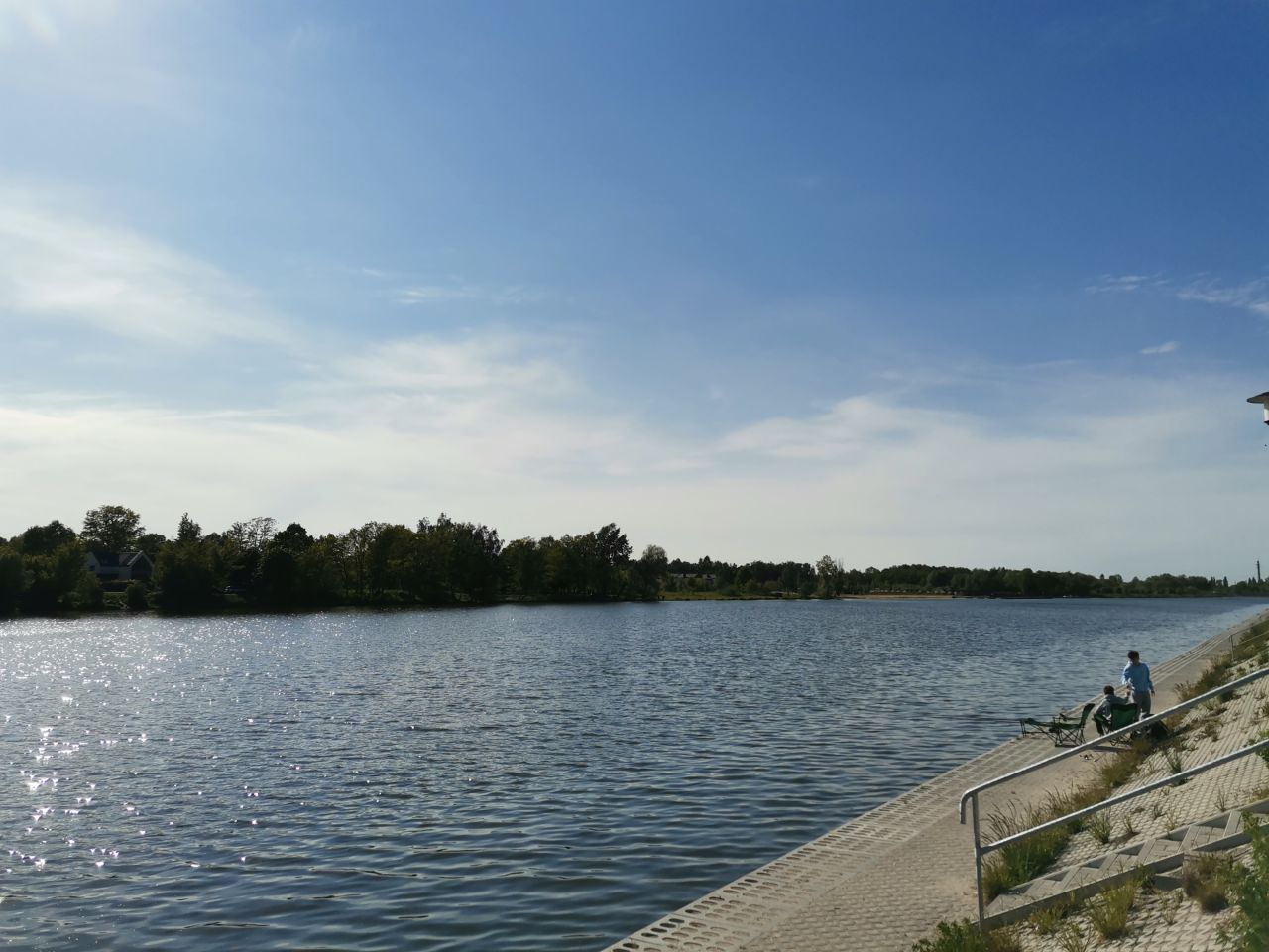 Działka rod Żyrardów, ul. Adama Mickiewicza