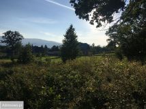 Działka budowlana Bukowiec. Zdjęcie 3