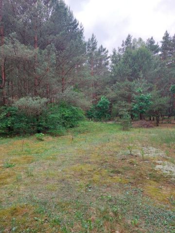 Działka rolno-budowlana Prabuty. Zdjęcie 1