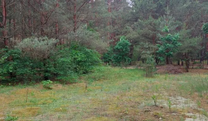 Działka rolno-budowlana Prabuty