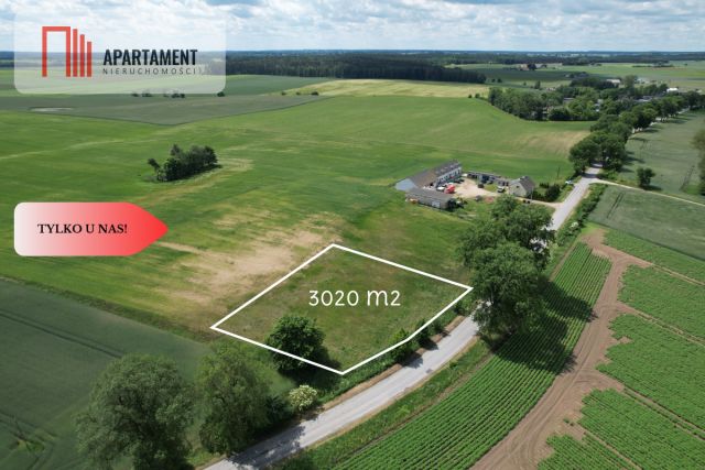 Działka budowlana Mała Cerkwica. Zdjęcie 4