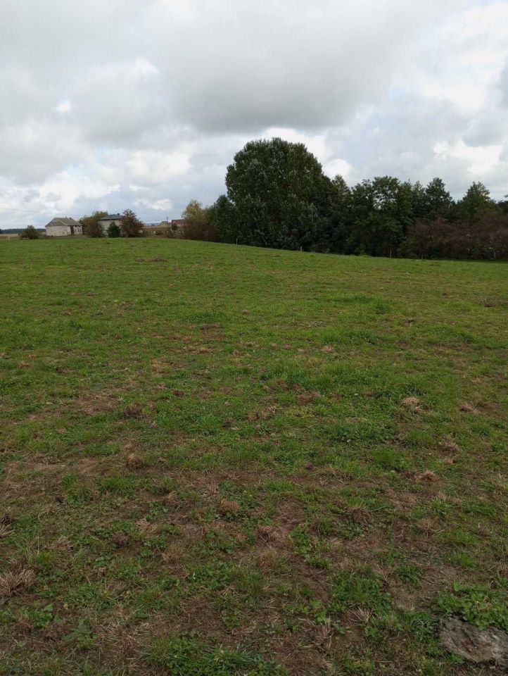 Działka inwestycyjna Długie. Zdjęcie 6