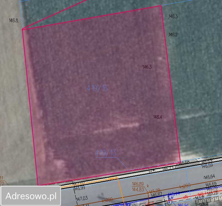 Działka budowlana Dalików. Zdjęcie 2