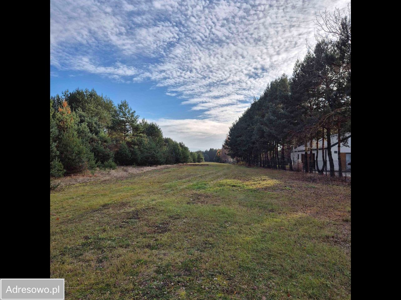 Działka rekreacyjna Biała Góra. Zdjęcie 4