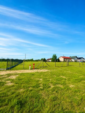 Działka budowlana Olszowiec Nowy Olszowiec. Zdjęcie 1