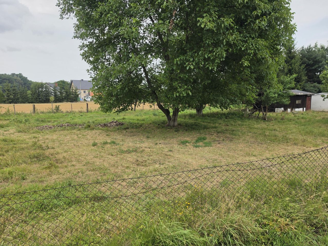 dom wolnostojący, 5 pokoi Gniewków, Brak. Zdjęcie 5