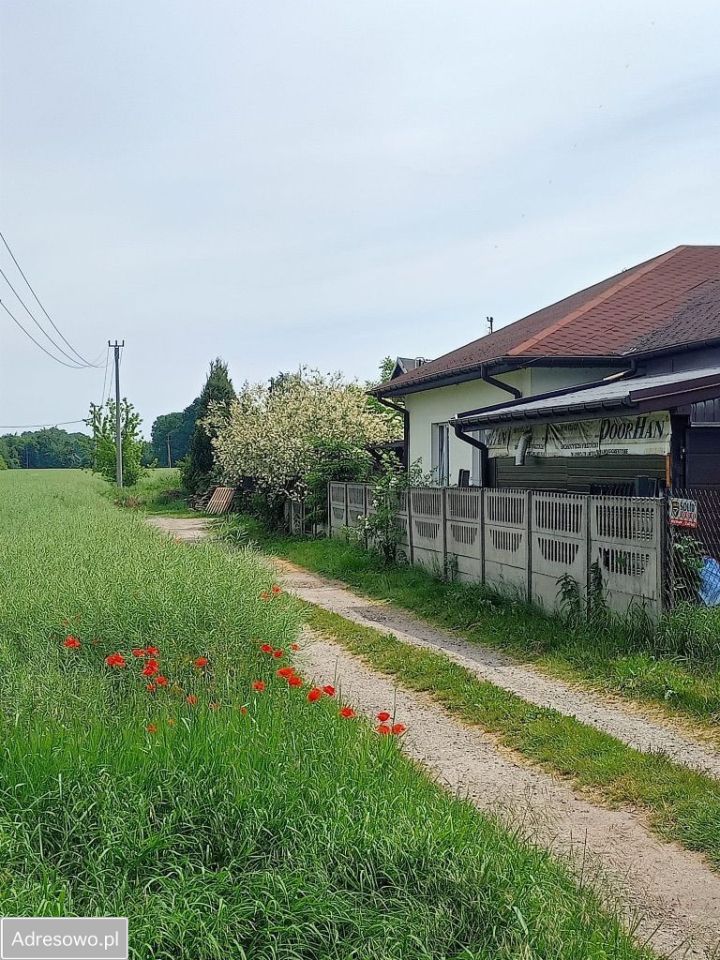 Działka rolno-budowlana Natolin. Zdjęcie 3