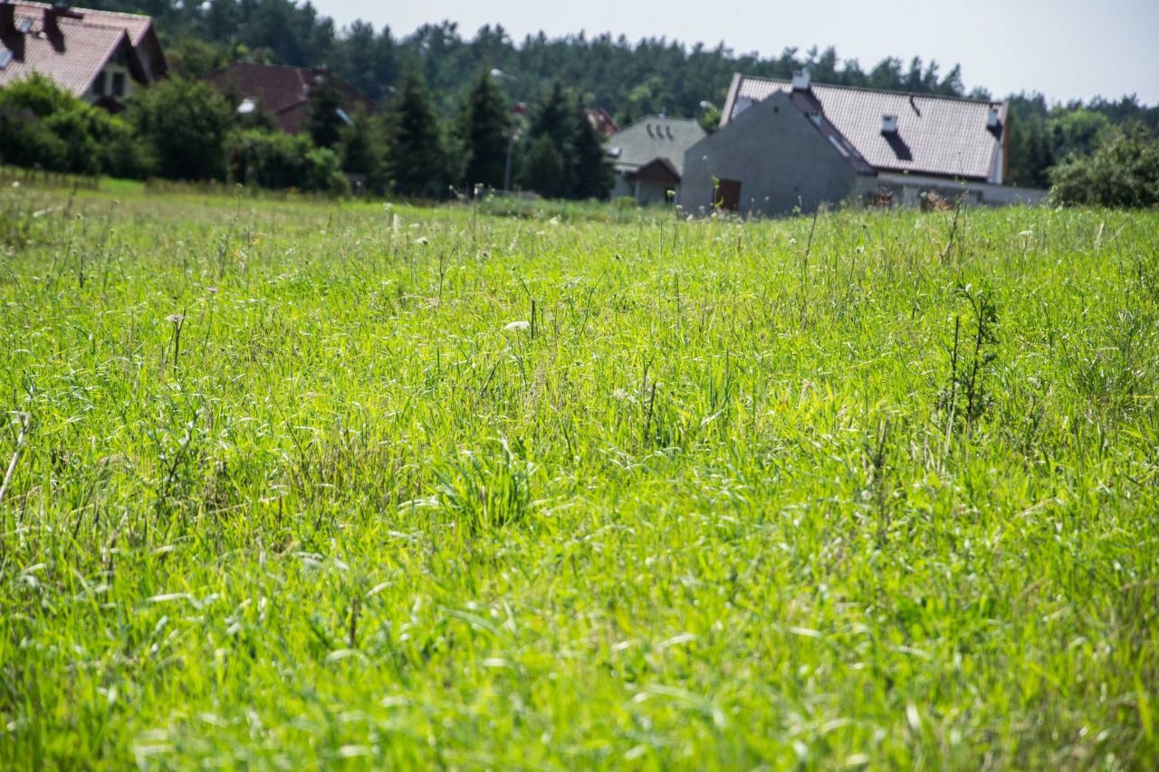 Działka budowlana Gryźliny, ul. Borówkowa. Zdjęcie 5