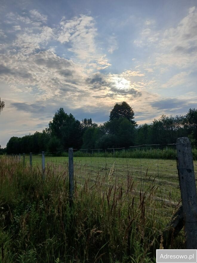 Działka budowlana Chojnów. Zdjęcie 9