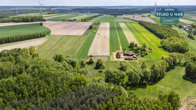 Działka rolna Przymiłów. Zdjęcie 7