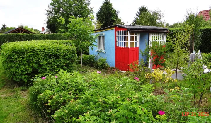 Działka rod Piła Centrum, ul. Różyckiego